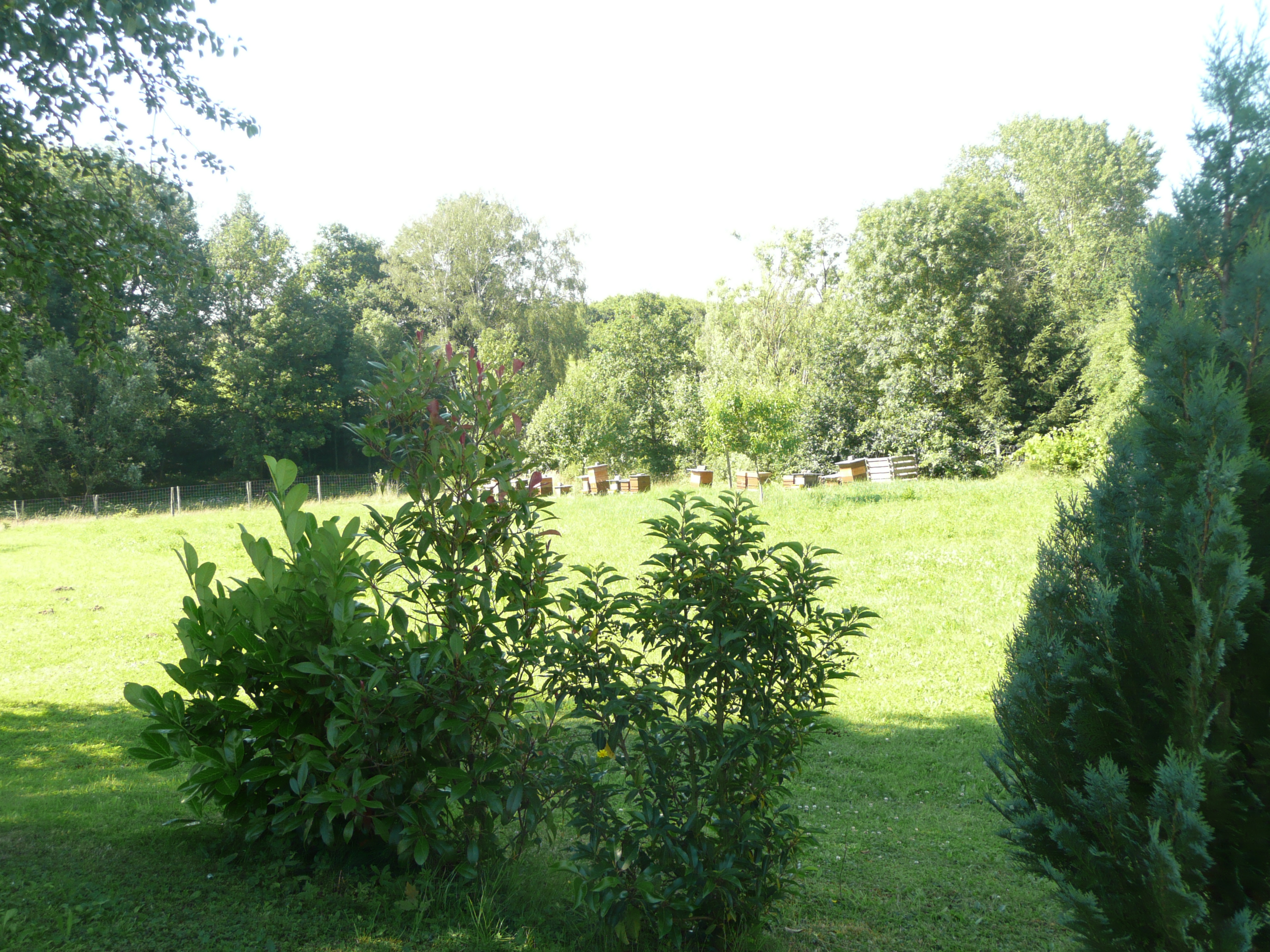 Photo 5 - Chez Anny et Jean Au Mittelbuehl